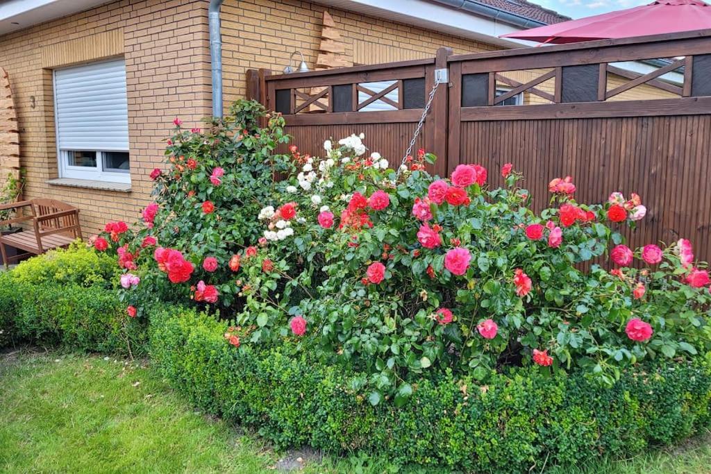 Fh Ostfriesland To Huus, Zw. Emden Und Greetsiel Villa Hinte Exterior photo